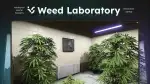 Weed Laboratory (QB) FiveM-Ressourcenvorschau