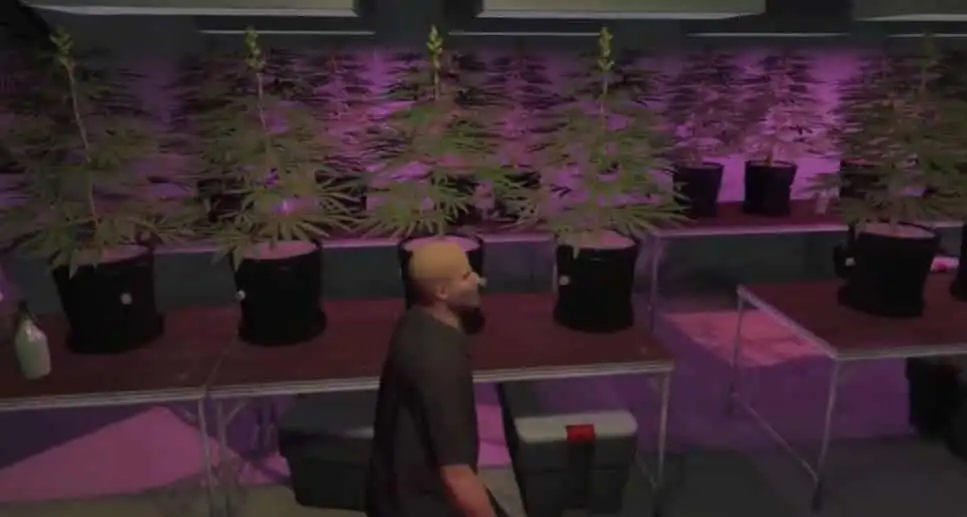Granja secreta de Weed MLO FiveM vista previa del recurso 5