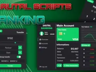 Brutal Banking (ESX/QB) FiveM resource preview
