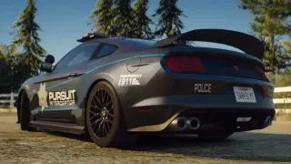 NP Interceptors