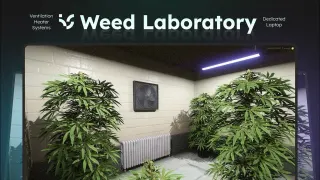 Weed Laboratory (QB) FiveM resource preview