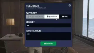FiveM Report script
