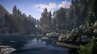 ONX Vegetation Pack - FiveM Trees, Forests + Foliage Overhaul