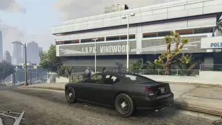 Vinewood PD
