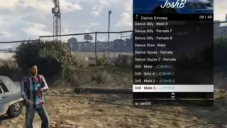FiveM animations