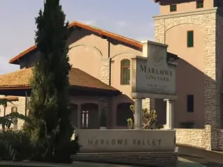Vineyard