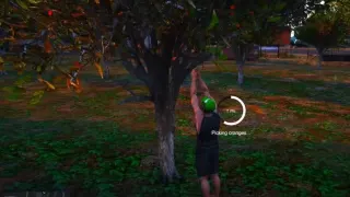 [ESX] Fruit Picker Job FiveM resource preview