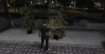 FiveM Dope Plant