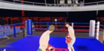 Maze Arena Boxing FiveM resource preview 3
