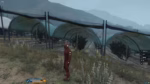 Esx Tomato Farm