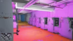 Cyberpunk Laundry FiveM resource preview 3
