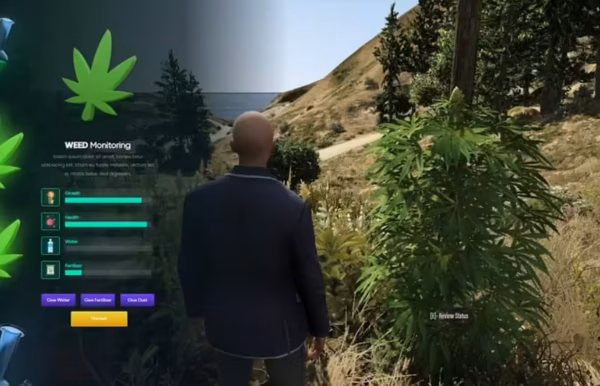 Aperçu de la ressource FiveM du script de culture de weed