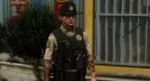 Vista previa del recurso LSCSO Collection FiveM 31