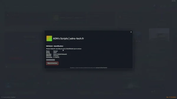 Visualização do recurso do Sistema de Lista Branca do ADN FiveM 5
