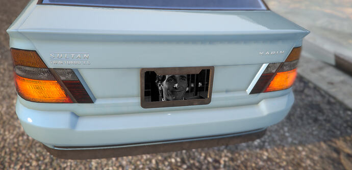 UM Custom Plate